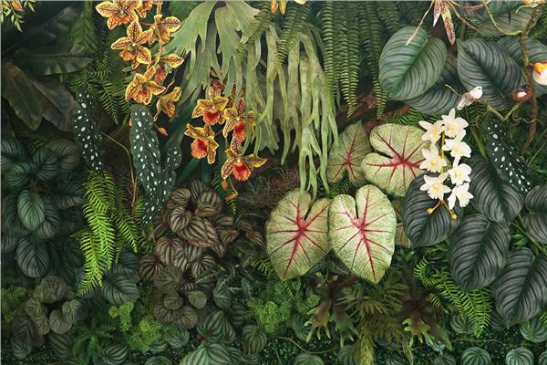 Botanik Yapraklar Duvar Kağıdı