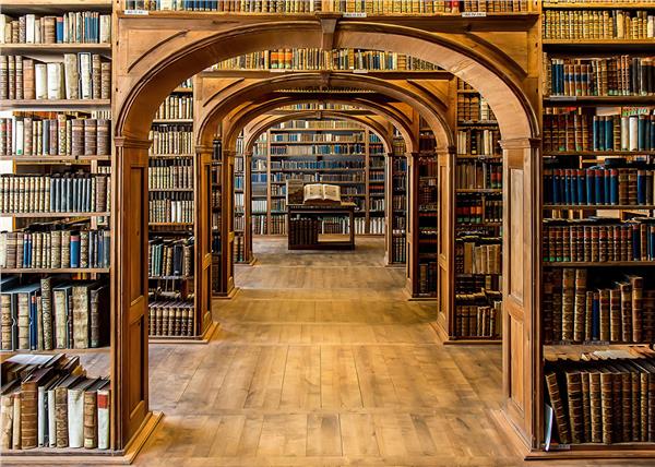 Klasik Kütüphane ve Kitaplık Desenli Duvar Kağıdı