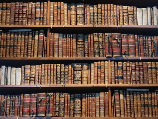 Kitaplık ve Kütüphane Desenli Duvar Kağıdı