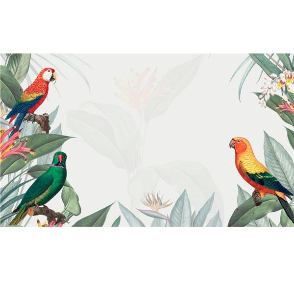 Papağan ve Tropikal Desen Duvar Kağıdı