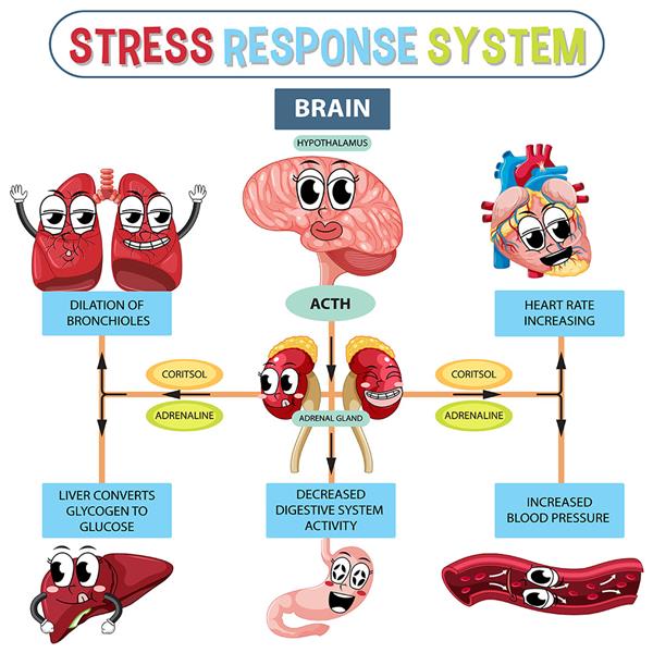 Çocuk Doktor Muayene Odası Eğitici Hastane Duvar Kağıdı